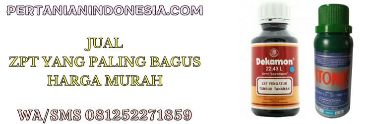 jual,zpt,harga murah,murah,pertanian indonesia